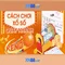 Tổng quan về xn88: nền tảng giải trí trực tuyến