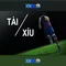 xn88: Tổng quan về nền tảng giải trí và cược trực tuyến