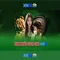 xn88: Nền tảng chơi game và cá cược trực tuyến