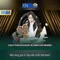 xn88 – Tổng quan về nền tảng giải trí trực tuyến