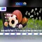 XN88 và những điều cần biết