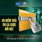 xn88 là gì và những điều bạn nên biết