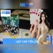 xn88 — Tổng quan và trải nghiệm người dùng