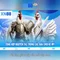 xn88: Nền tảng trò chơi trực tuyến nổi bật