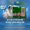xn88: Tổng quan về nền tảng cá cược trực tuyến uy tín